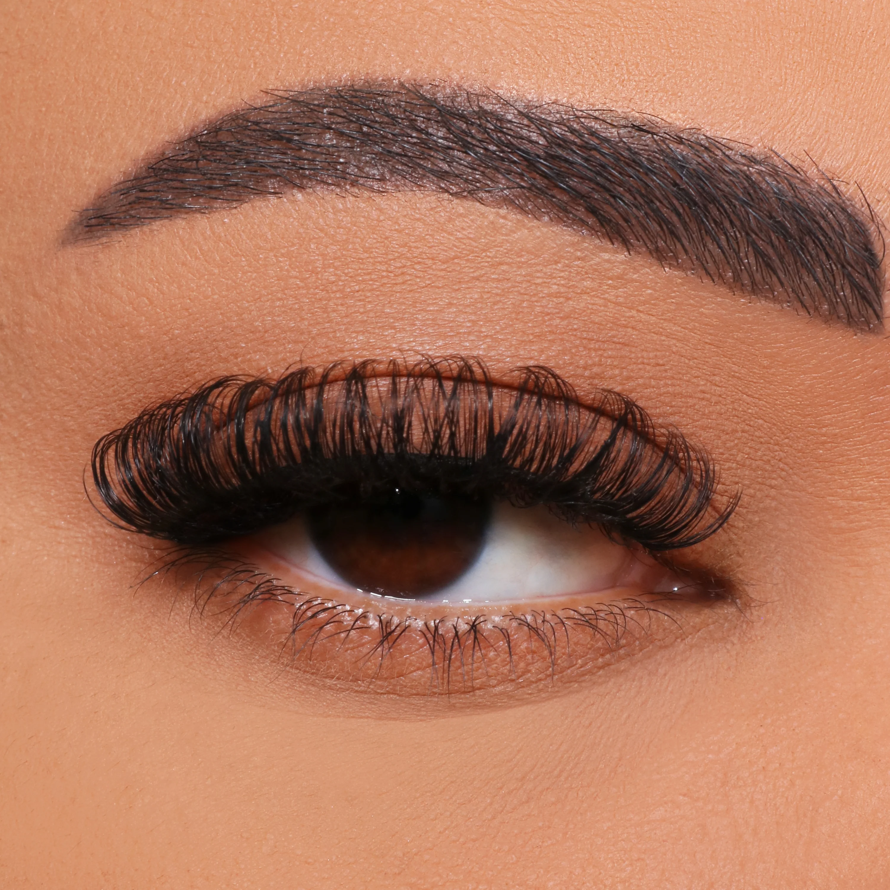 Hur man har en multi-blommig ögonfranstransplantation?